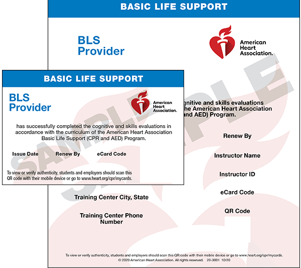 How Much Does Bls Certification Cost Near Me