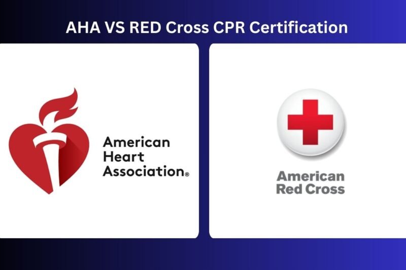 Aha Vs Red Cross Cpr Certification Which Is Better
