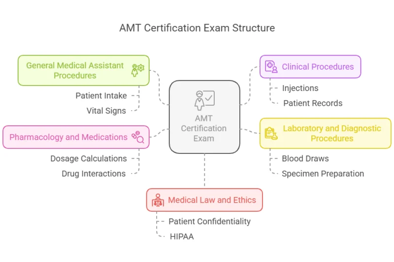 Timeline To Pass The Aama Certified Medical Assistant Exam