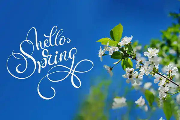 First Day of Spring 2027: What You Need to Know About the Vernal Equinox