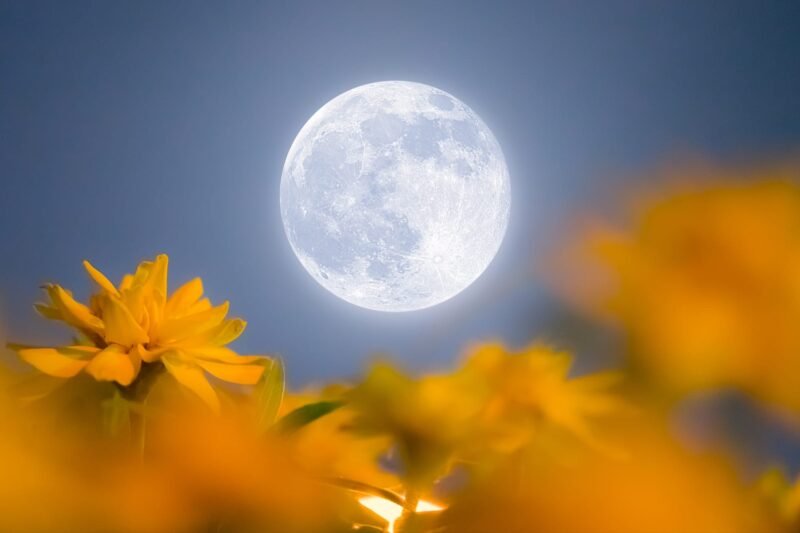 Full Flower Moon 2027