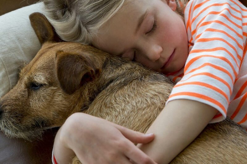 Love Your Pet Day 2027