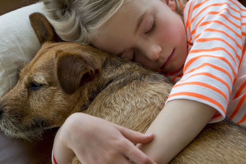 National Love Your Pet Day 2027