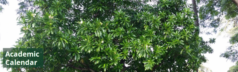 Uh Manoa Academic Calendar 2026 2027