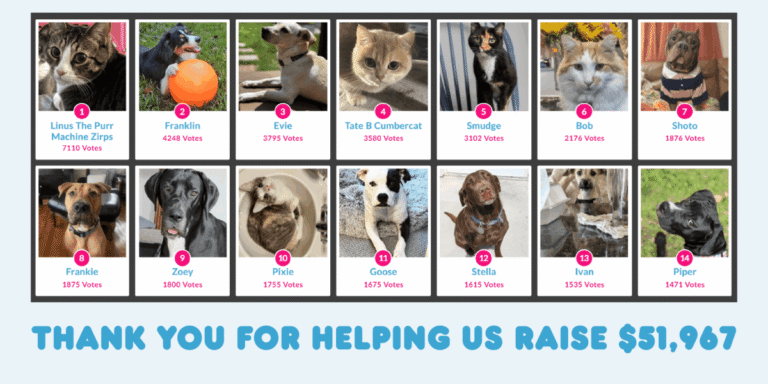 The Paw Print Calendar 2026